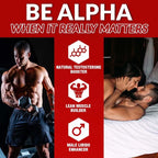 Alpha-T Booster De Testostérone Premium 60 Capsules Nutrex - Shakeproteine