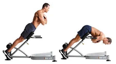 BACK EXTENSION - Shakeproteine