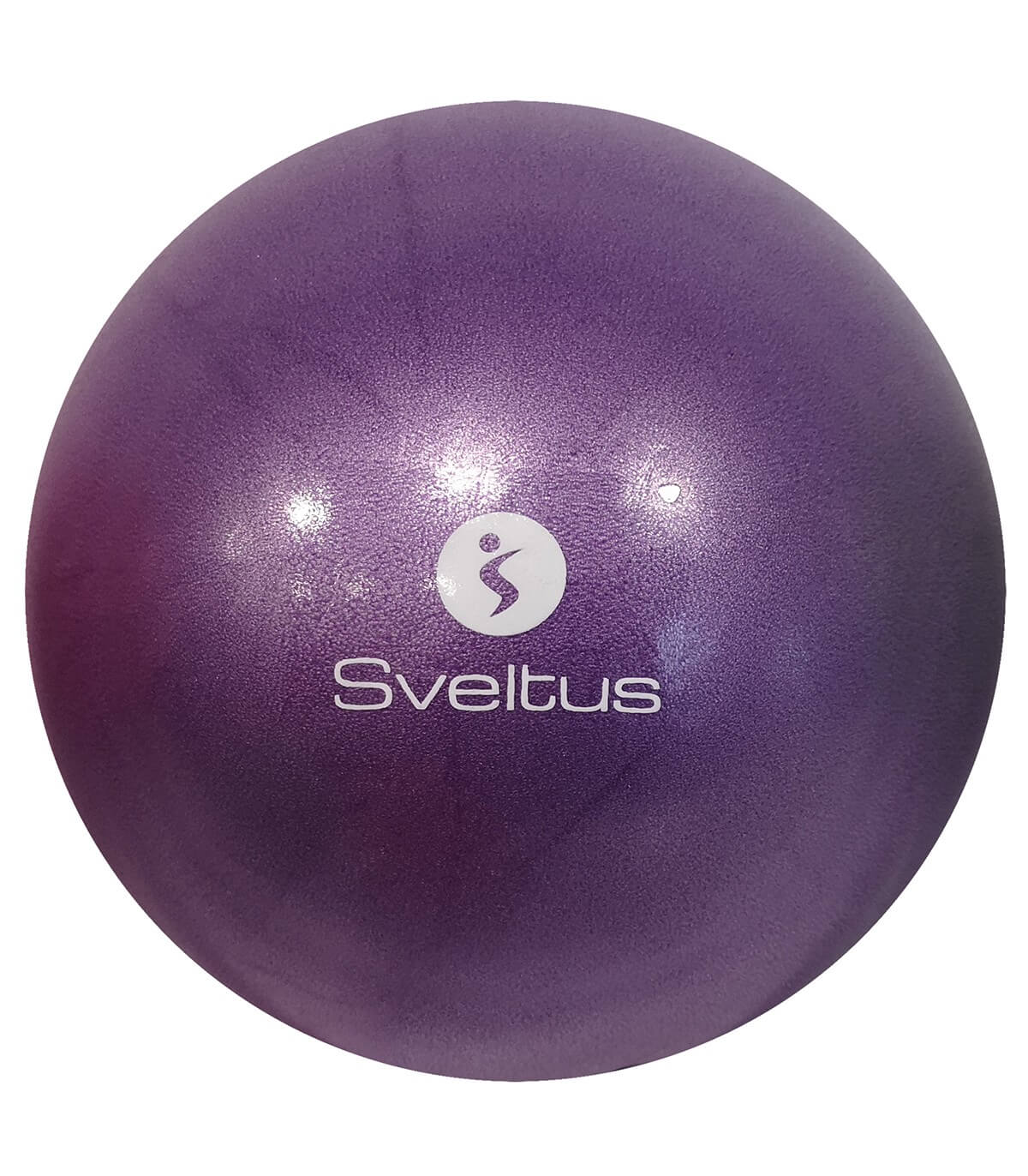 Ballon pédagogique violet Ø22/24 cm vrac