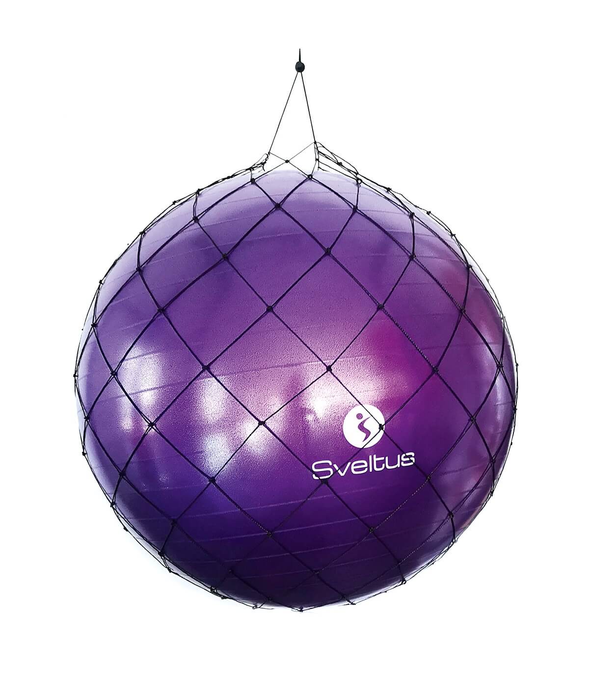 BALLON PEDAGOGIQUE VIOLET DIAMETRE 25CM