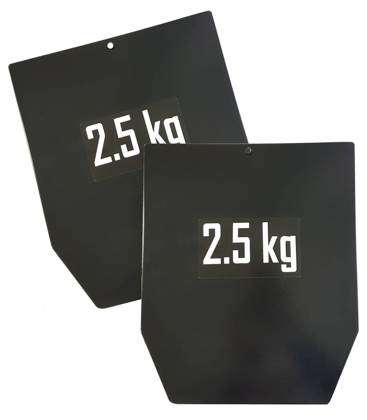 Gilet lesté 15 kg pro (Plaques fournies)