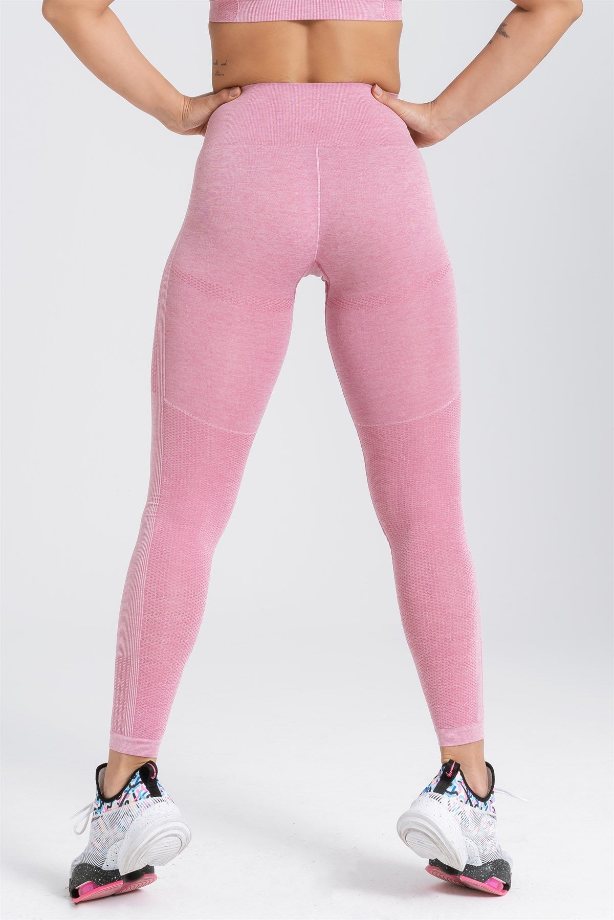 Gymwolves Women Seamles Sport Leggings | Energy Series | Rose - Shakeproteine