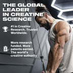 100% CREATINE PLATINUM MUSCLETECH - Shakeproteine
